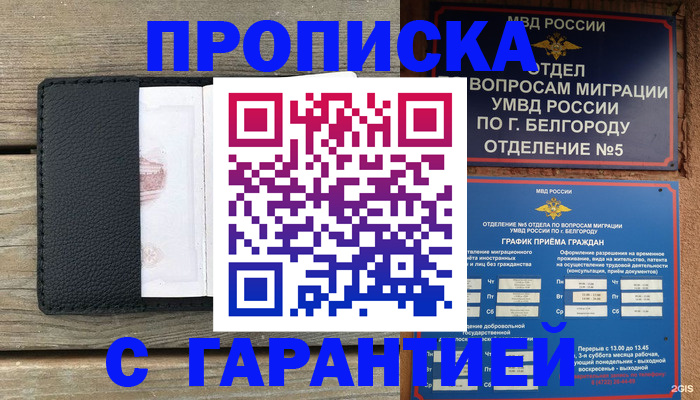 купить прописку в Камчатском крае